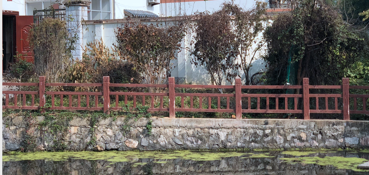 池塘邊的集體土地被人用來栽種果樹，還設(shè)置了柵欄。南報融媒體記者胥欣攝