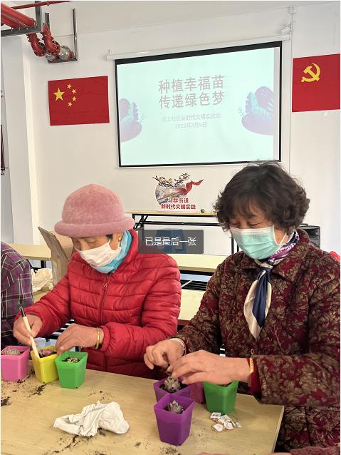 向上社區(qū)開(kāi)展多肉盆栽種植活動(dòng)
